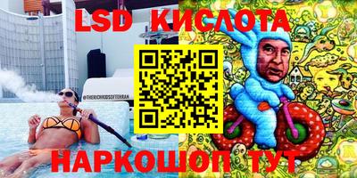 гидра Новодвинск