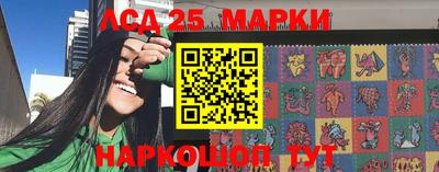 гидра Новодвинск